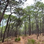 Apartamento Pres De La Source *