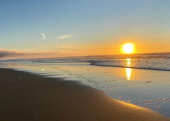 Pres De La Source Daire Mimizan-Plage