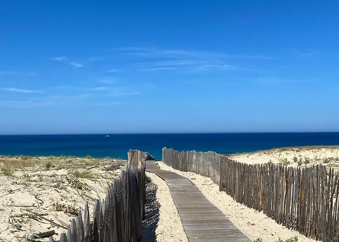 Daire Pres De La Source