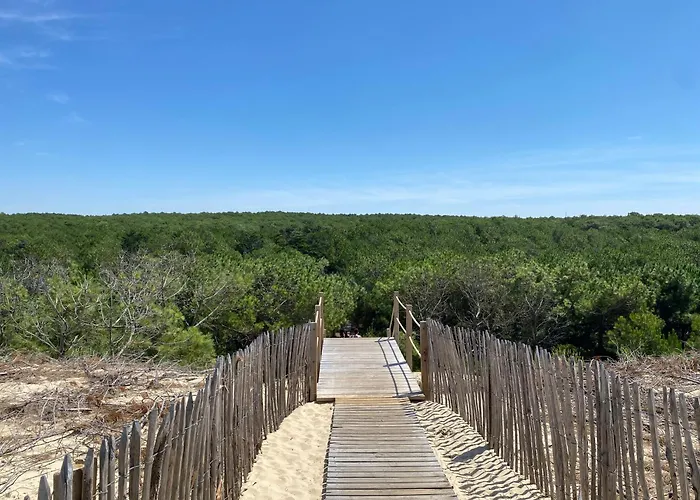 Pres De La Source Daire Mimizan-Plage